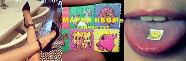 сатива Абаза