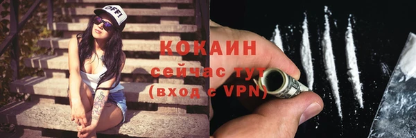 сатива Абаза