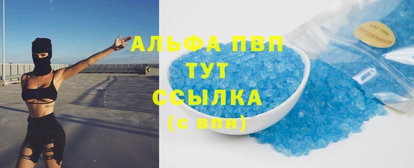 сатива Абаза