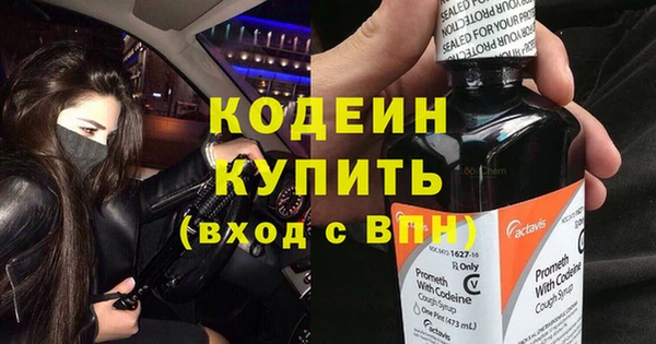 сатива Абаза